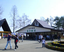 20100504_03.jpg