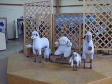 20100504_05.jpg