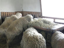 20100504_06.jpg