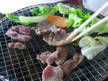 20100504_09.jpg