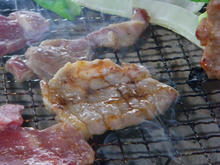 20100504_10.jpg