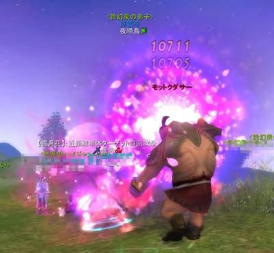 nightingale03.jpg