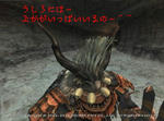 Shi100413232325a.jpg