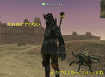 Eld110505234137a.jpg
