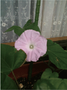 5ddcbc36.gif
