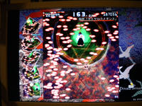 DSCN0124.JPG