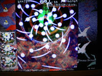 DSCN0133.JPG