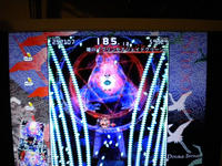 DSCN0157.JPG