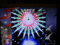 DSCN0167.JPG