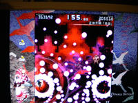 DSCN0171.JPG