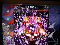 DSCN0173.JPG