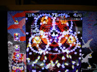 DSCN0184.JPG
