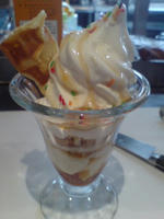 20100415122146.jpg
