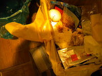 DSCN0331.JPG