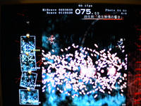 DSCN0290.JPG
