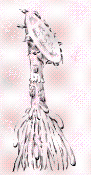 tukinohikari.gif