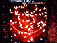 DSCN0375.JPG