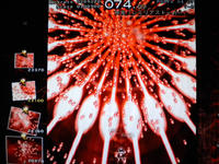 DSCN0329.JPG