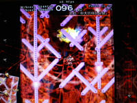 DSCN0336.JPG