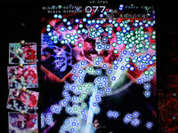 DSCN0339.JPG