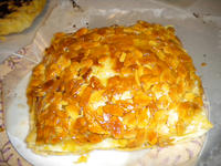DSCN0406.JPG
