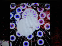 DSCN0345.JPG