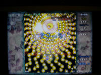 DSCN0457.JPG