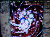 DSCN0466.JPG
