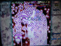 DSCN0485.JPG