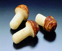 346_1253942002.jpg