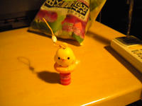 DSCN0515.JPG