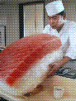 untitled333311.gif