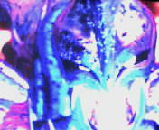 middle_1187718164.jpg
