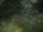 capture_00230.jpg