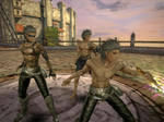 capture_00404.jpg