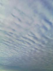 空