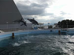 DSCF2167.jpg