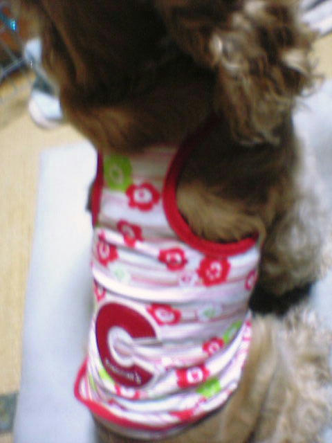 新しい服１
