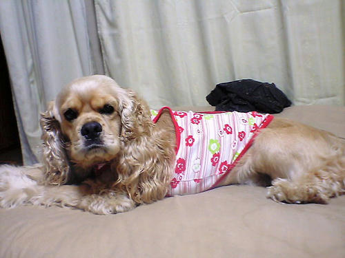 まったり１
