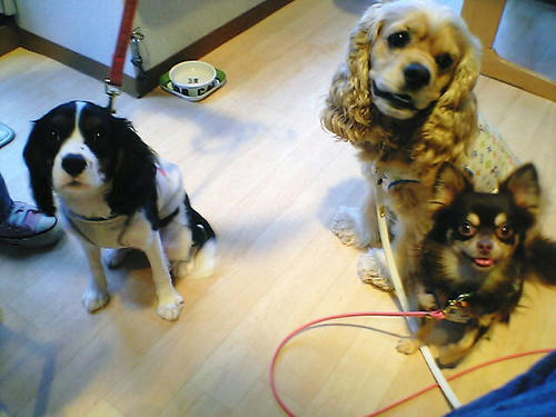 3ショット