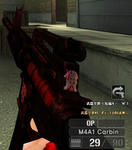 edb077b2.JPG