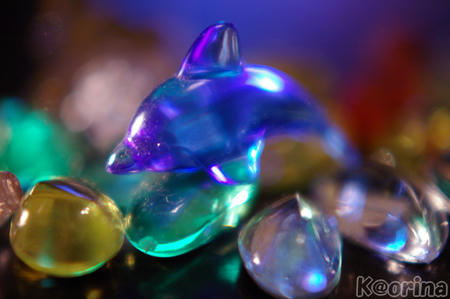 クリックすると拡大します♪