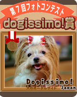 クリックするとサイトへ飛びます♪