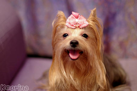 クリックすると拡大します♪