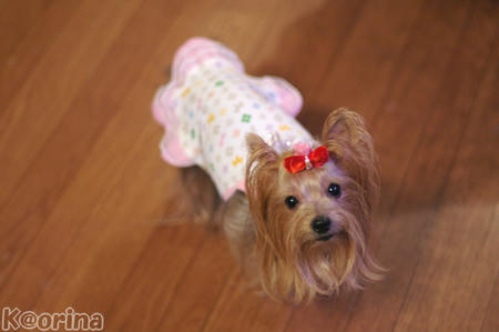 クリックすると拡大します♪