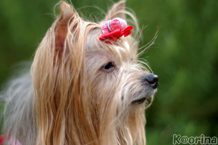 クリックすると拡大します♪