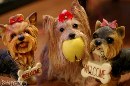 クリックすると拡大します♪