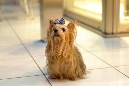 クリックすると拡大します♪