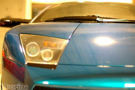 クリックすると拡大します♪