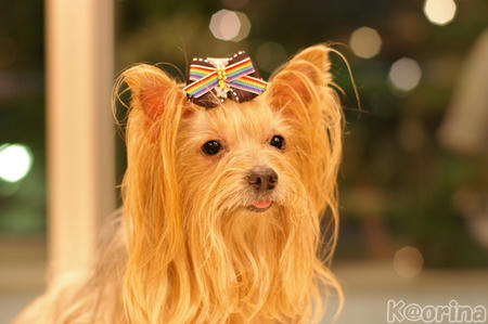 クリックすると拡大します♪